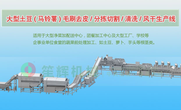 新泰连续式土豆去皮清洗切割风干生产线